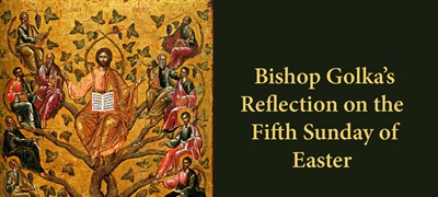 Bishop Golka's Reflection on the Fifth Sunday of Easter