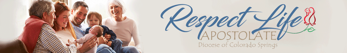 Respect-Life-Homepage-Masthead copy