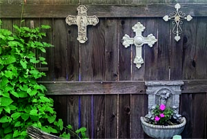 BLESSINGS IN BLOOM: A Grateful Gardener