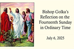 Bishop Golka's Reflection on the Fourteenth Sunday in Ordinary Time