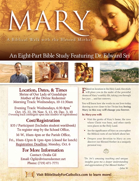 Mary, A Biblical Walk with the Blessed Mother (An eight-part bible study featuring Dr. Edward Sri