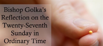 Bishop Golka's Reflection on the Twenty-Seventh Sunday in Ordinary Time