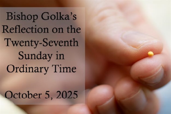 Bishop Golka's Reflection on the Twenty-Seventh Sunday in Ordinary Time