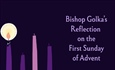 Bishop Golka's Reflection on the First Sunday of Advent
