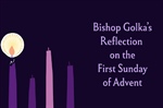 Bishop Golka's Reflection on the First Sunday of Advent
