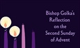 Bishop Golka's Reflection on the Second Sunday of Advent - Dec 7, 2025