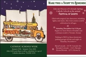 Annual Festival of Lights
