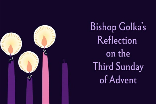 Bishop Golka's Reflection on the Third Sunday of Advent - Dec. 14, 2025