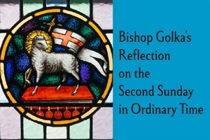 Bishop Golka's Reflection on the Second Sunday in Ordinary Time - Jan. 18, 2026