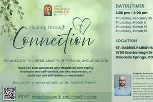Healing through Connection - the Antidote to Stress, Anxiety, Depression, and Addiction