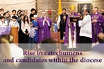 Sealed with the Gift of the Holy Spirit: Sharp rise in catechumens, candidates in diocese mirrors worldwide trend