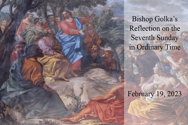 Bishop Golka's Reflection on the Seventh Sunday in Ordinary Time