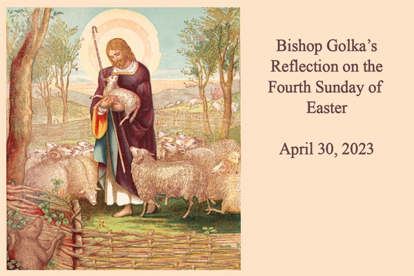 Bishop Golka's Reflection on the Fourth Sunday of Easter