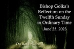 Bishop Golka's Reflection on the Twelfth Sunday in Ordinary Time