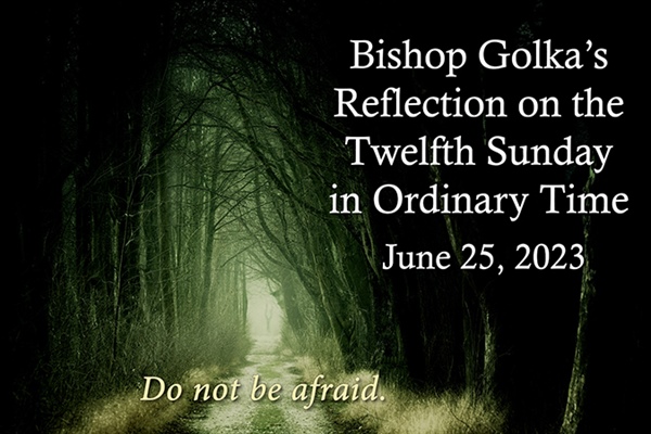 Bishop Golka's Reflection on the Twelfth Sunday in Ordinary Time