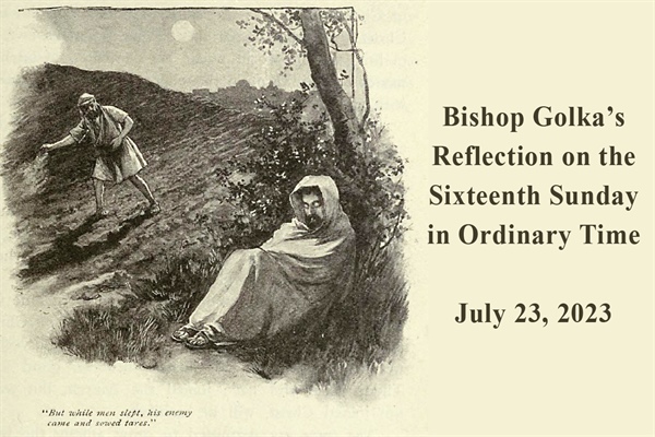 Bishop Golka's Reflection on the Sixteenth Sunday in Ordinary Time