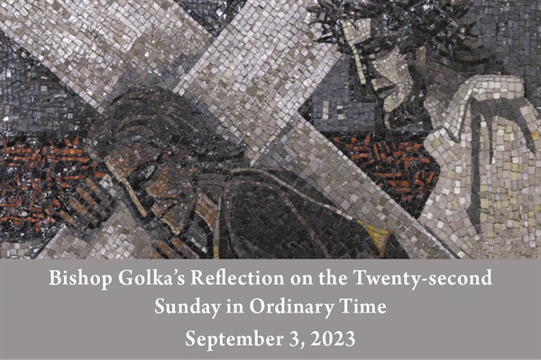 Bishop Golka's Reflection on the Twenty-second Sunday in Ordinary Time