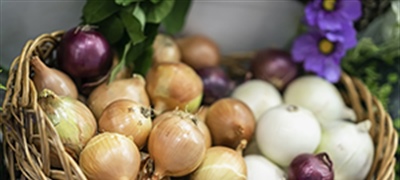 BLESSINGS IN BLOOM: Onions