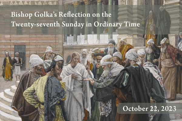 Bishop Golka's Reflection on the Twenty-ninth Sunday in Ordinary Time