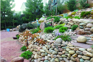 BLESSINGS IN BLOOM: Rock-tober Gardens