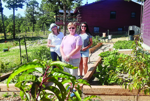 Garden at Our Lady of the Pines is a cornucopia of nutrition