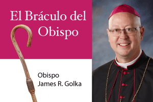 EL BÁCULO DEL OBISPO: Regalar el don de Jesús