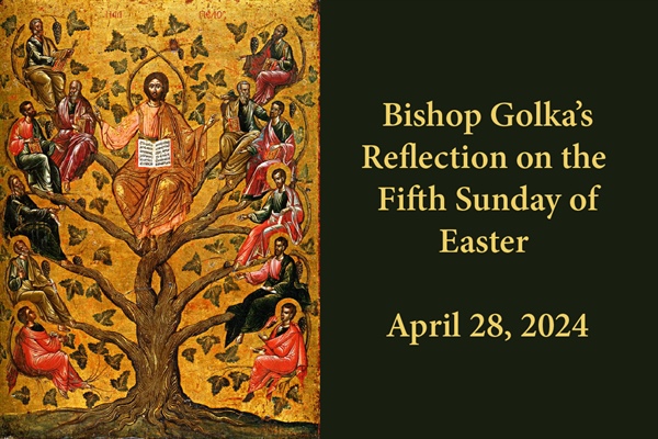 Bishop Golka's Reflection on the Fifth Sunday of Easter