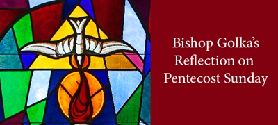 Bishop Golka's Reflection on Pentecost Sunday