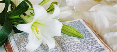 2025 HOLY WEEK/EASTER SCHEDULES