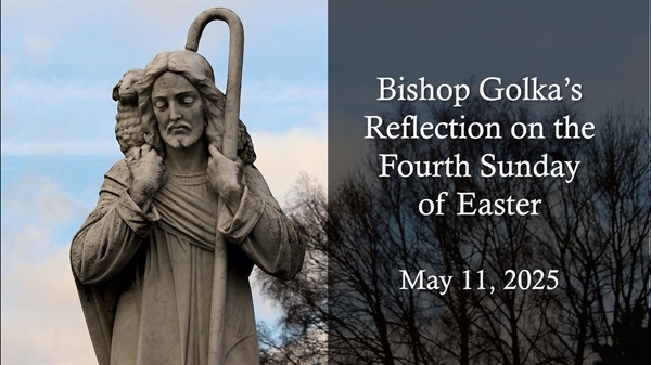 Bishop Golka's Reflection on the Fourth Sunday of Easter