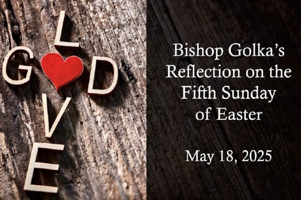 Bishop Golka's Reflection on the Fifth Sunday of Easter